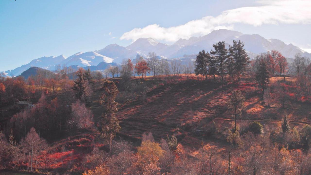 Pulieru - Picos De Europa Views, Designed For All Seasons Onís 外观 照片